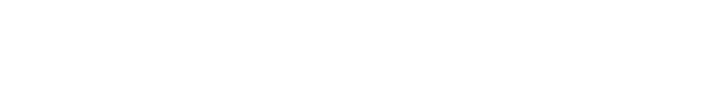CI Web Group